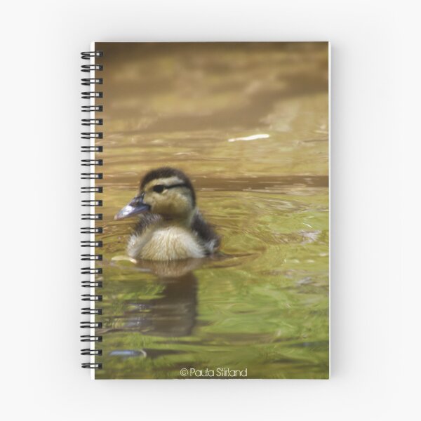 Item preview, All Fluff n Feathers designed and sold by Gozza.