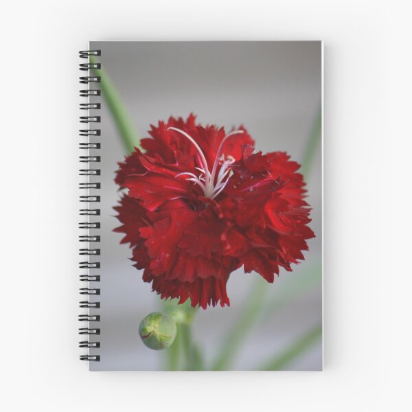 Item preview, Red carnation designed and sold by Brent McMurry.