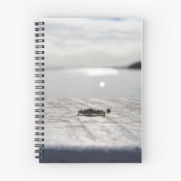 Item preview, Caterpillar Crossing designed and sold by LPphotography.