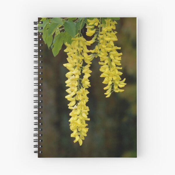 Item preview, Golden Chain (Laburnum) designed and sold by Declan Carr.