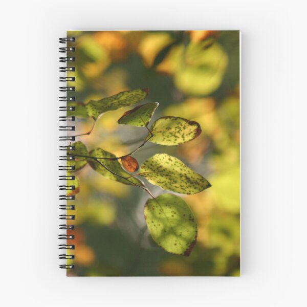 Item preview, Amber Leaves designed and sold by Laura Sykes.