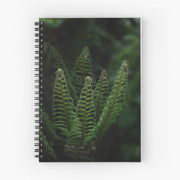 Item preview, irish fern, Irish wild flower designed and sold by Declan Carr.