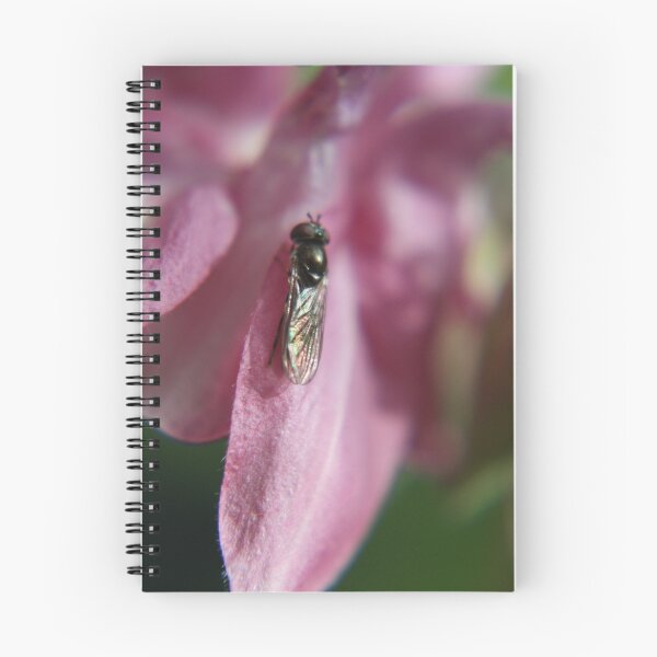 Item preview, Hoverfly designed and sold by Maggie Lowe.