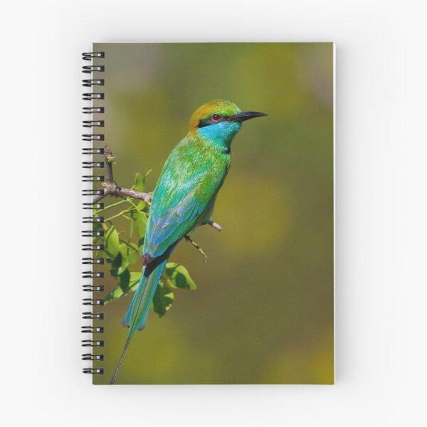 Item preview, Green Bee-eater designed and sold by Neil Bygrave (NATURELENS).