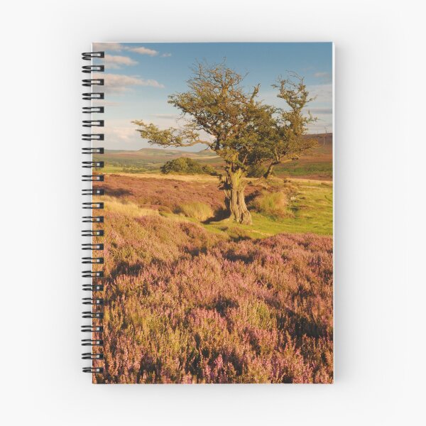 Item preview, Thimbleby Moor, Osmotherley, North Yorkshire Moors designed and sold by James Paul.