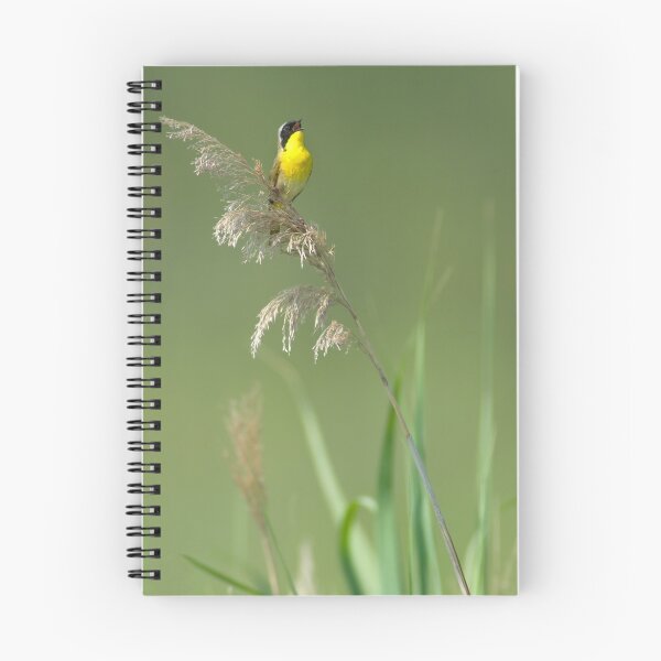 Item preview, Common Yellowthroat Singing designed and sold by Michael Mill.