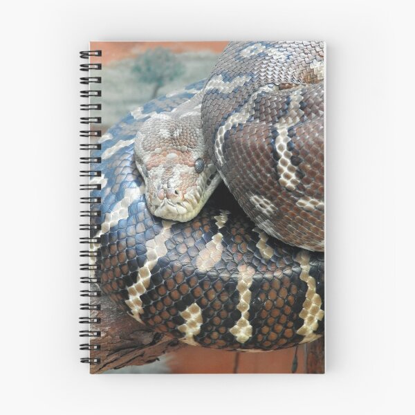 Item preview, Centralian Carpet Python designed and sold by kirstybush.