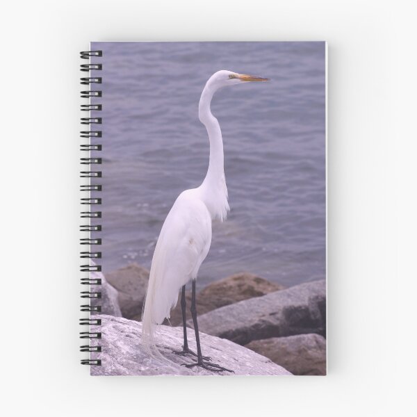 Item preview, hoping for handouts designed and sold by diana anderson.