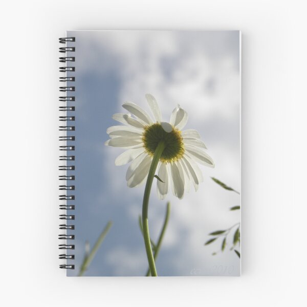Item preview, Story Of The Earth designed and sold by NatureGreeting Cards ©ccwri.