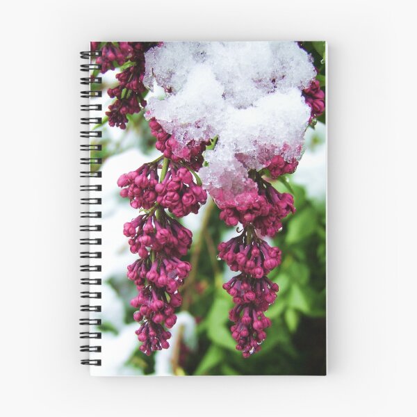 Item preview, Purple Thaw designed and sold by ColoradoBadger.
