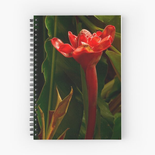Item preview, Jungle Flower: "King's Sword" designed and sold by Zane Paxton.
