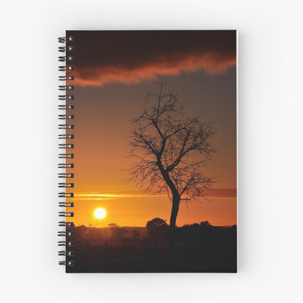 Item preview, Waiting for the Sunrise designed and sold by Rainbow Farm Photography.