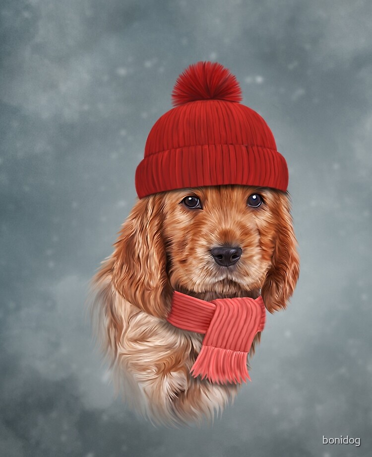 Cocker spaniel outlet hat