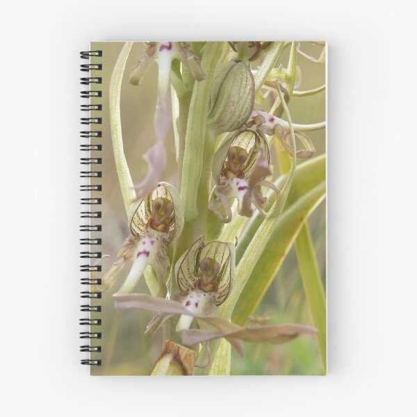 Item preview, Lizard Orchid 2 designed and sold by SAngell.