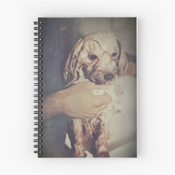 Item preview, So Sad designed and sold by Laurie Search Fine Art Photography.