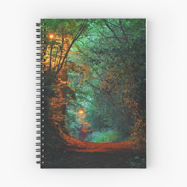 Item preview, Path To My House designed and sold by relayer51.