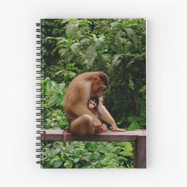 Item preview, Mother and baby macaque designed and sold by C1oud.