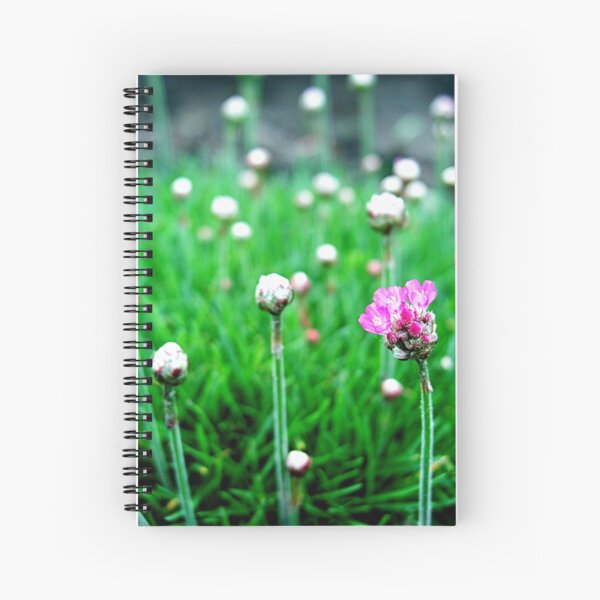 Poppy Spiral Notebook