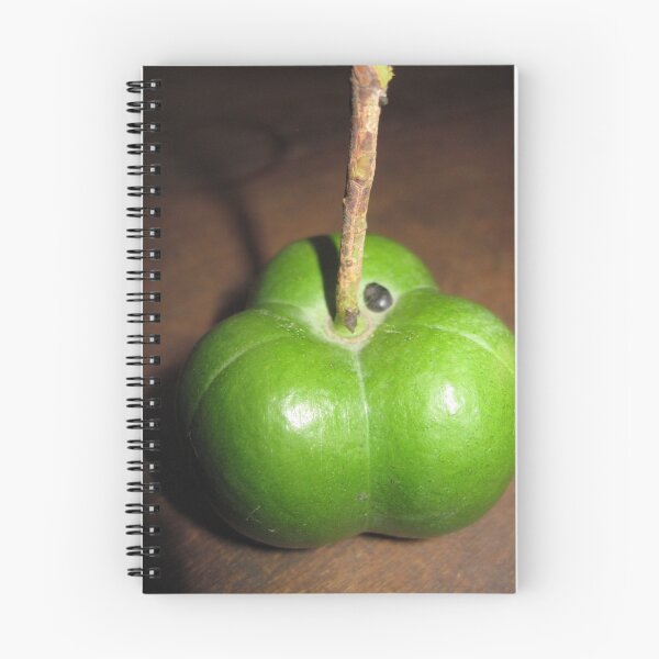Item preview, Latex Fruit designed and sold by Hugh Fathers.