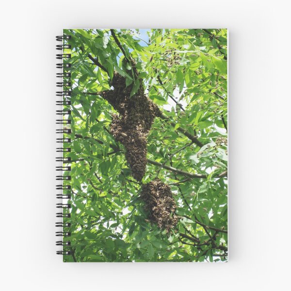 Aperçu de l'œuvre Swarming bees créée et vendue par MelliCaster.