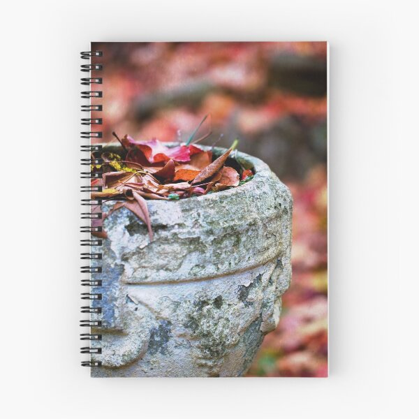 Item preview, ~ the most beautiful discovery ~ designed and sold by Lorraine Creagh.