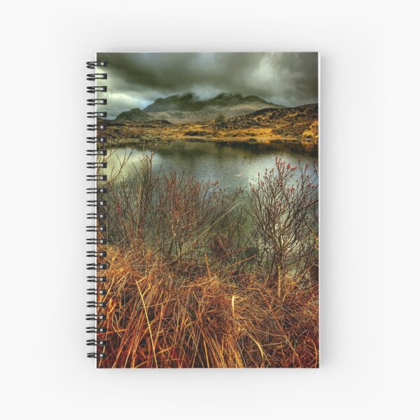 Sligachan Grasses Spiral Notebook