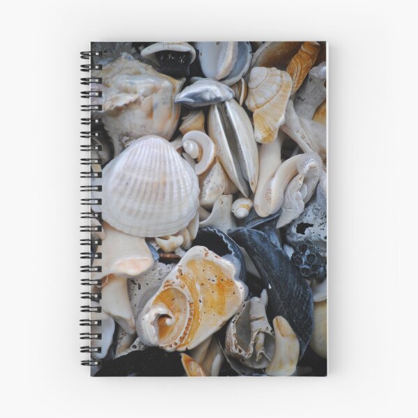 Item preview, Seashells designed and sold by Caren.