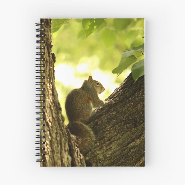 Item preview, Spring Squirrel designed and sold by Robert Daveant.