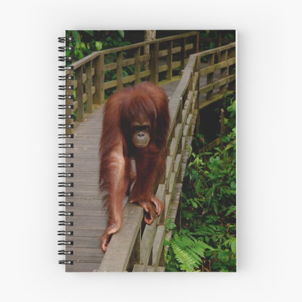 Item preview, Orangutan designed and sold by C1oud.