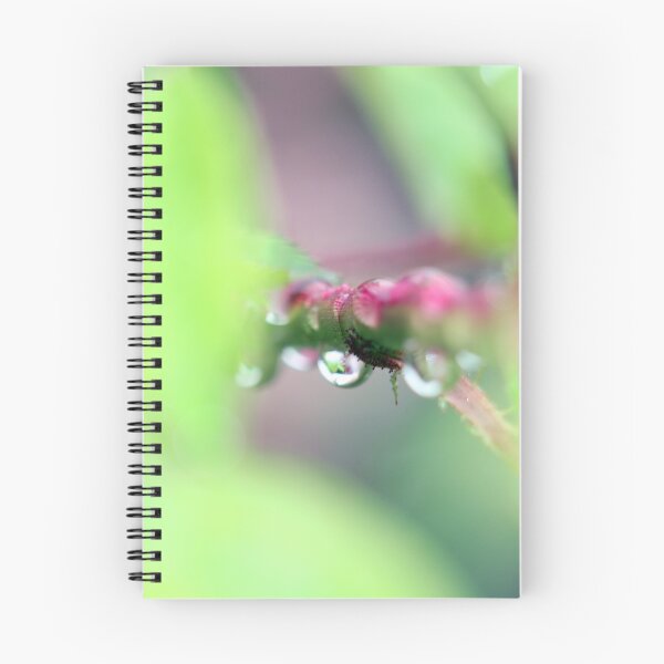 Item preview, Droplets of a flower designed and sold by Melanie Conroy.
