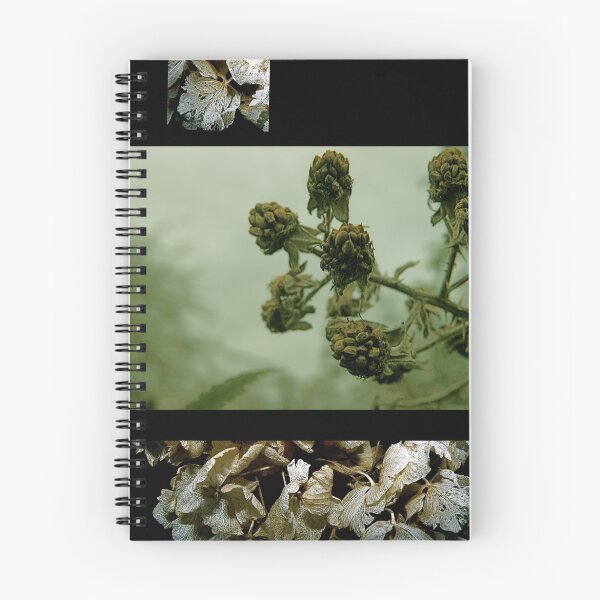 Item preview, High & Dry designed and sold by eleveneleven.