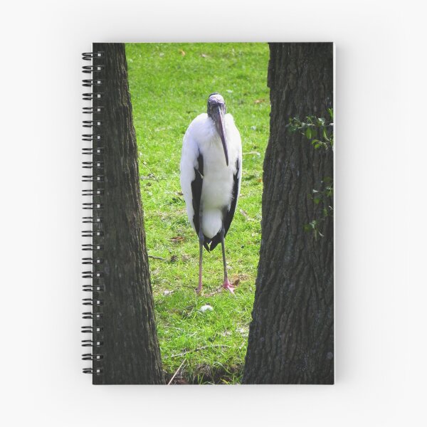 Aperçu de l'œuvre The Nosy Woodstork  (A) créée et vendue par Judy Wanamaker.