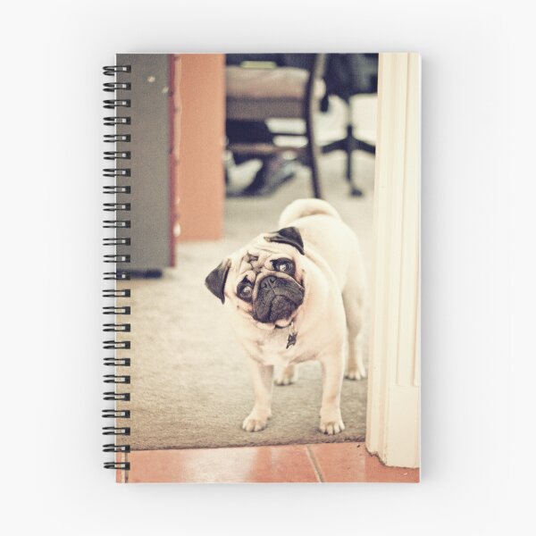 Item preview, Curious Pug designed and sold by 1773.