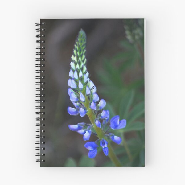 Item preview, Wild Perennial Lupine designed and sold by Arla Ruggles.