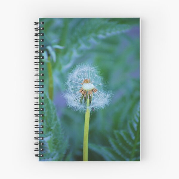 Item preview, dandylion designed and sold by Anthony Gale.