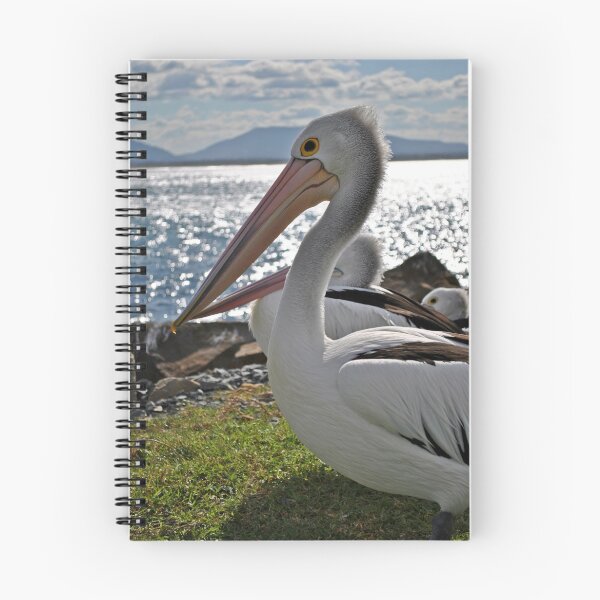 Item preview, Pelican designed and sold by Conor  O'Neill.