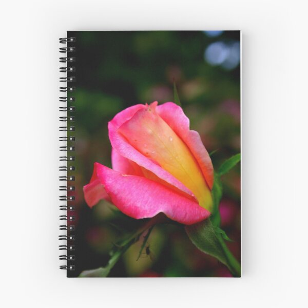 Item preview, Budding Rose in Pink designed and sold by Brent McMurry.