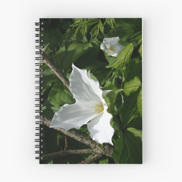 Item preview, Trillium designed and sold by Alyce Taylor.