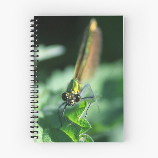 Item preview, Dancing Damselfly designed and sold by Robbie Labanowski.