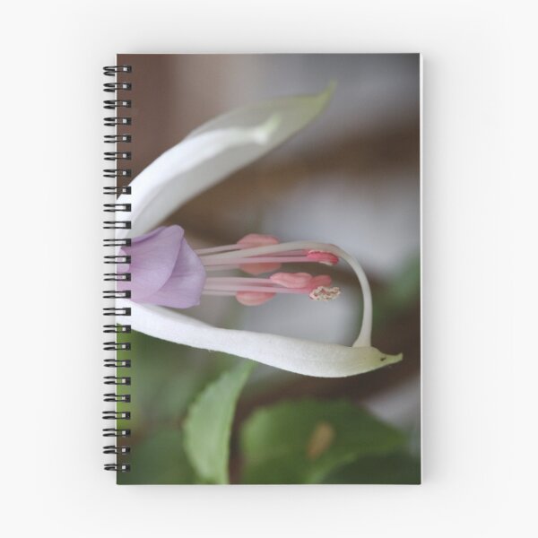 Item preview, Fuschia designed and sold by Shiva.