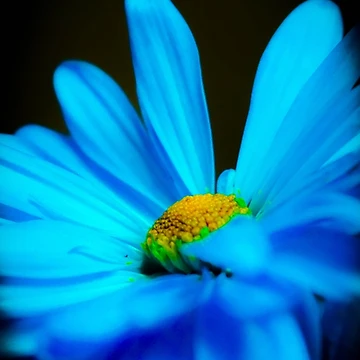 Artwork thumbnail, Blue Rise by MadlovPhoto