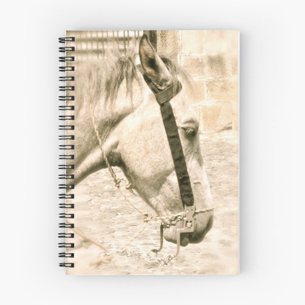 Item preview, Horse in Antigua designed and sold by Valerie Rosen Photography.