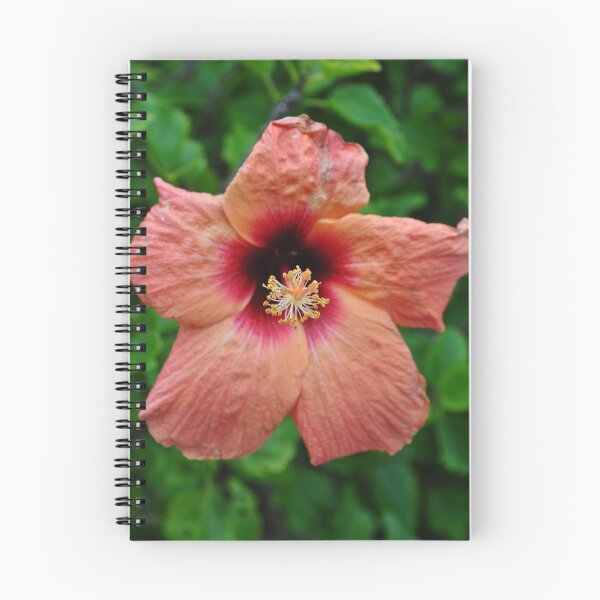 Item preview, Flower designed and sold by Conor  O'Neill.