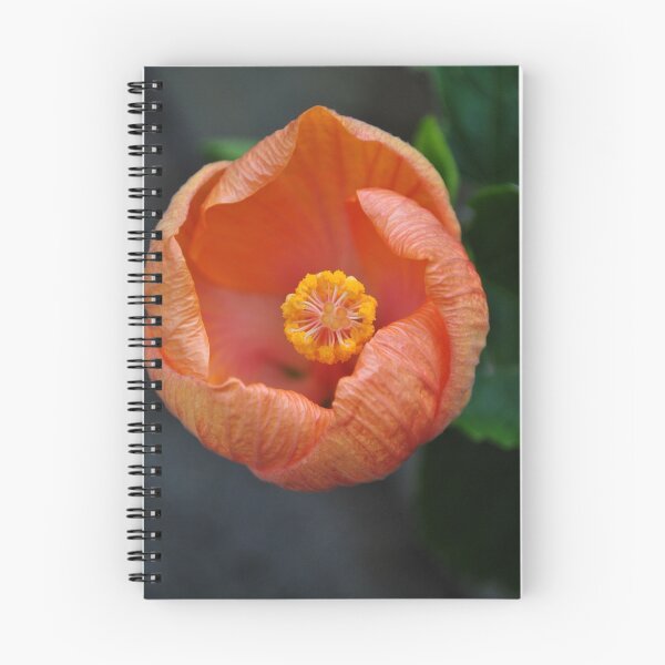 Item preview, Orange Flower designed and sold by Conor  O'Neill.