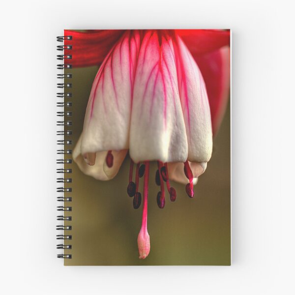 Item preview, Natures Chimes designed and sold by John Pitman.
