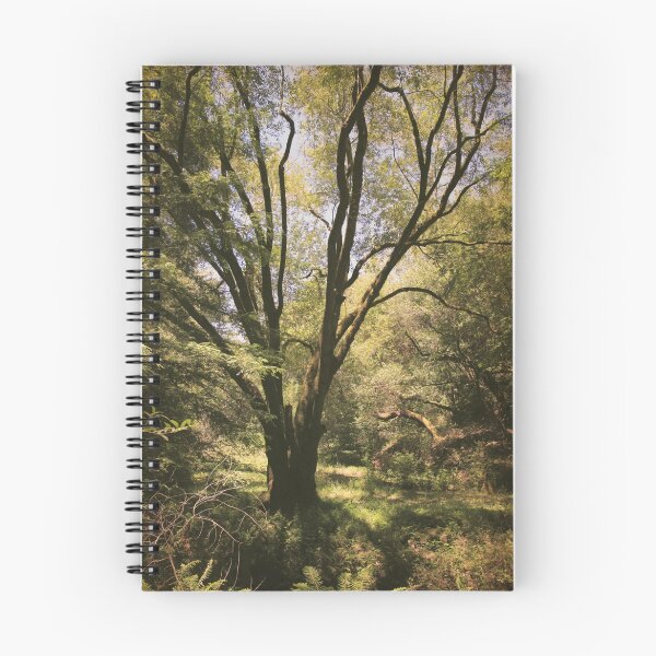 Item preview, No Matter What I Say Or Do designed and sold by Laurie Search Fine Art Photography.