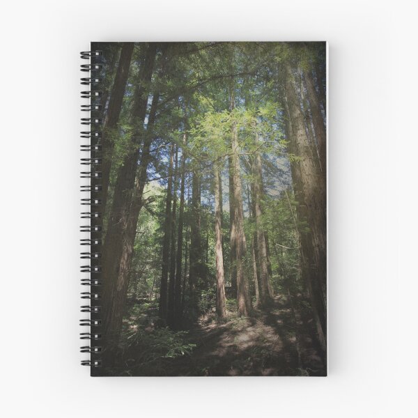 Item preview, The Lessons Learned designed and sold by Laurie Search Fine Art Photography.