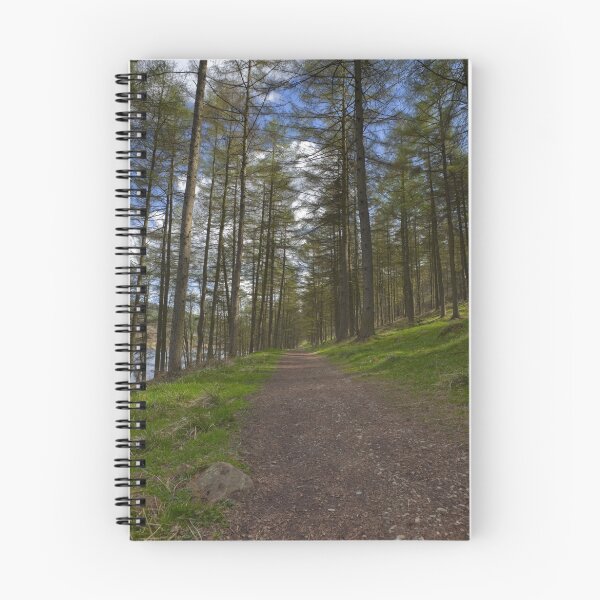 Item preview, Woodland Path, Ladybower Reservoir designed and sold by Nick Atkin.