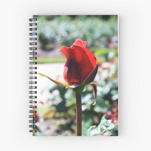 Item preview, For You designed and sold by Dave Godden.