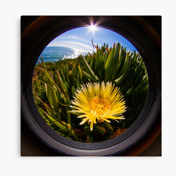 Perspective Totality VII Canvas Print
